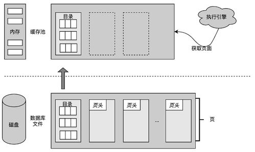 数据库的存储结构、数据处理与存储服务